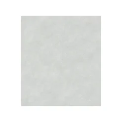 Afdekvlies fleece-30 1 x 10 m