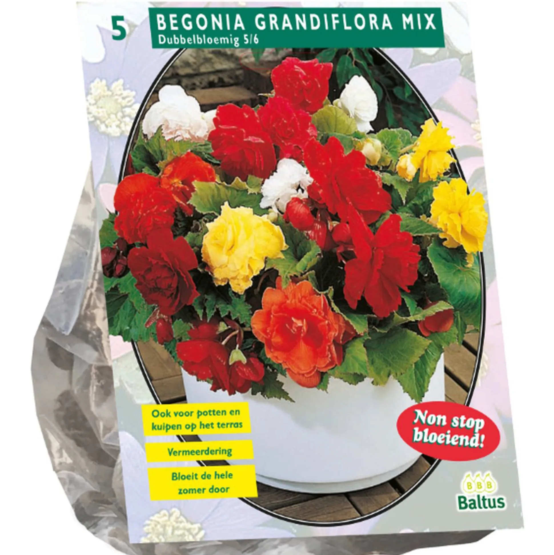 Begonia dubbelbloemig mix 5st.
