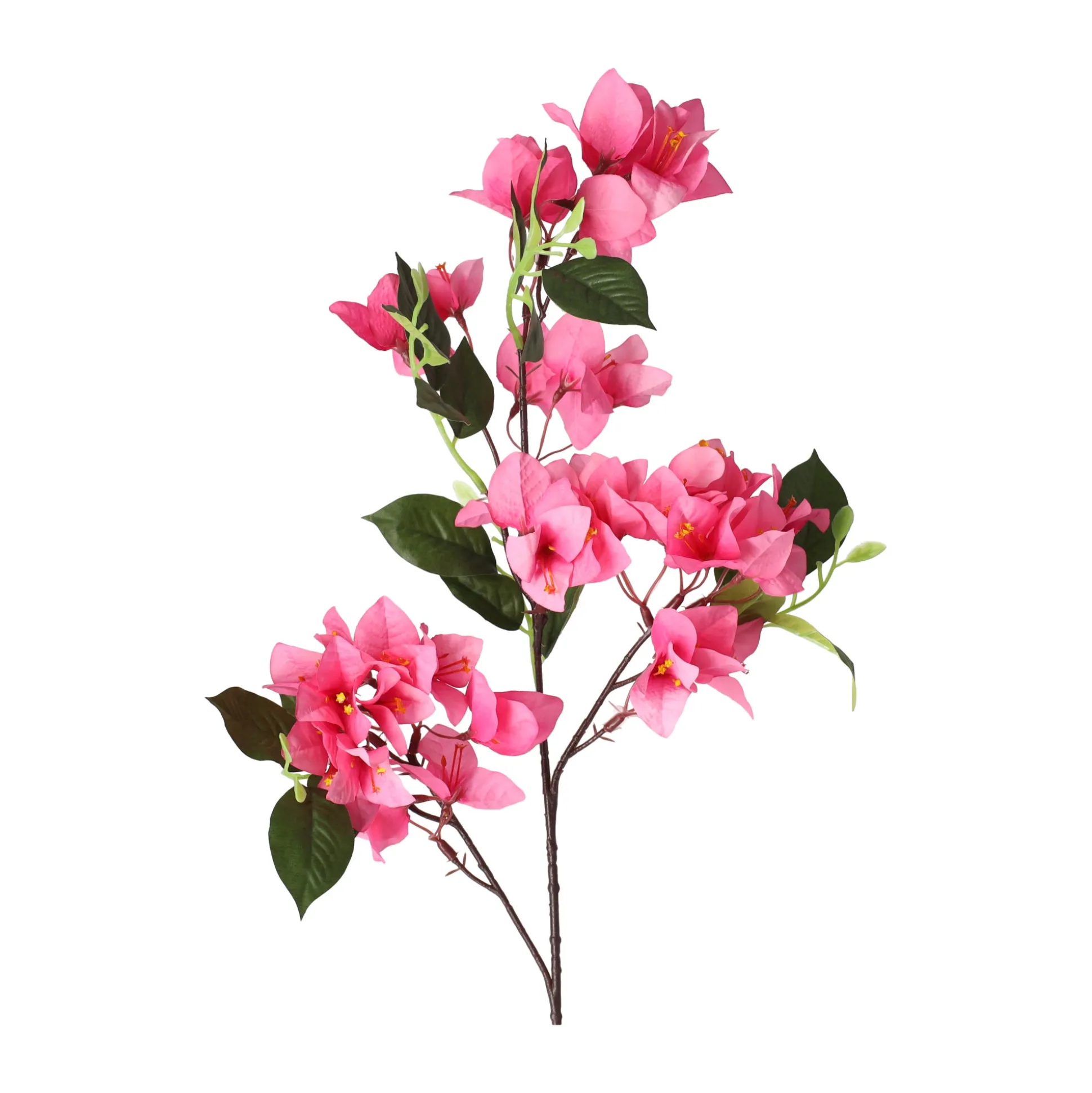 Bloem Bougainvillea fuchsia 76 cm