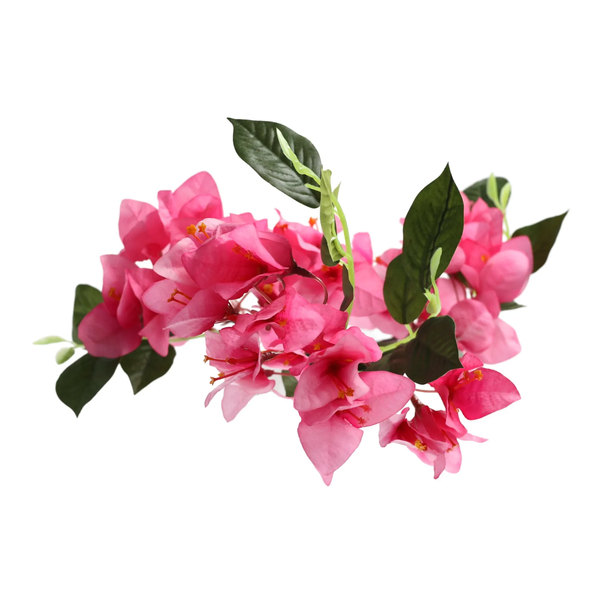 Bloem Bougainvillea fuchsia 76 cm