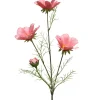 Calliopsis 64 cm roze