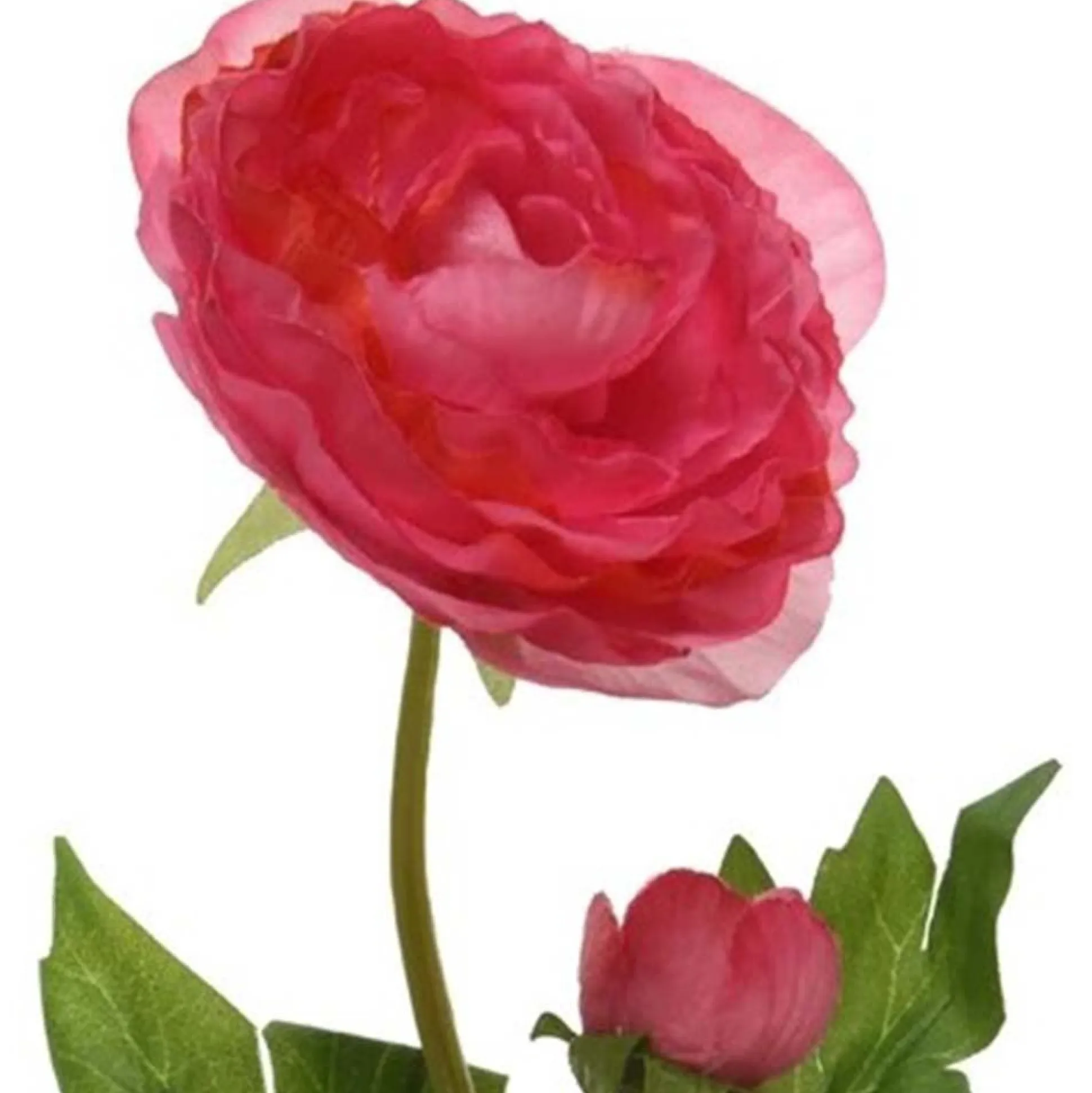 Camelia op steel 57 cm roze