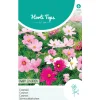 Cosmos Dwarf Sensation Mix