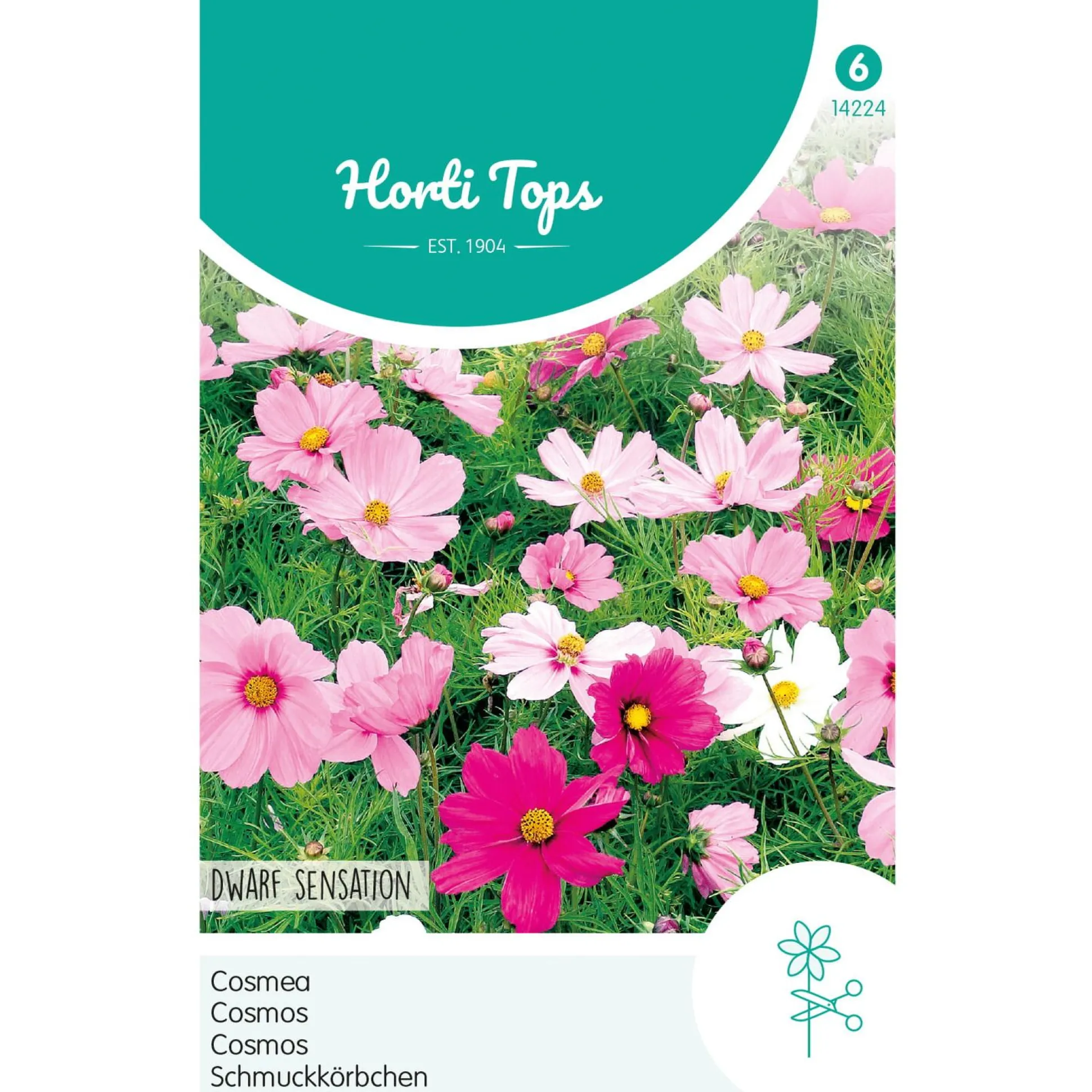 Cosmos Dwarf Sensation Mix