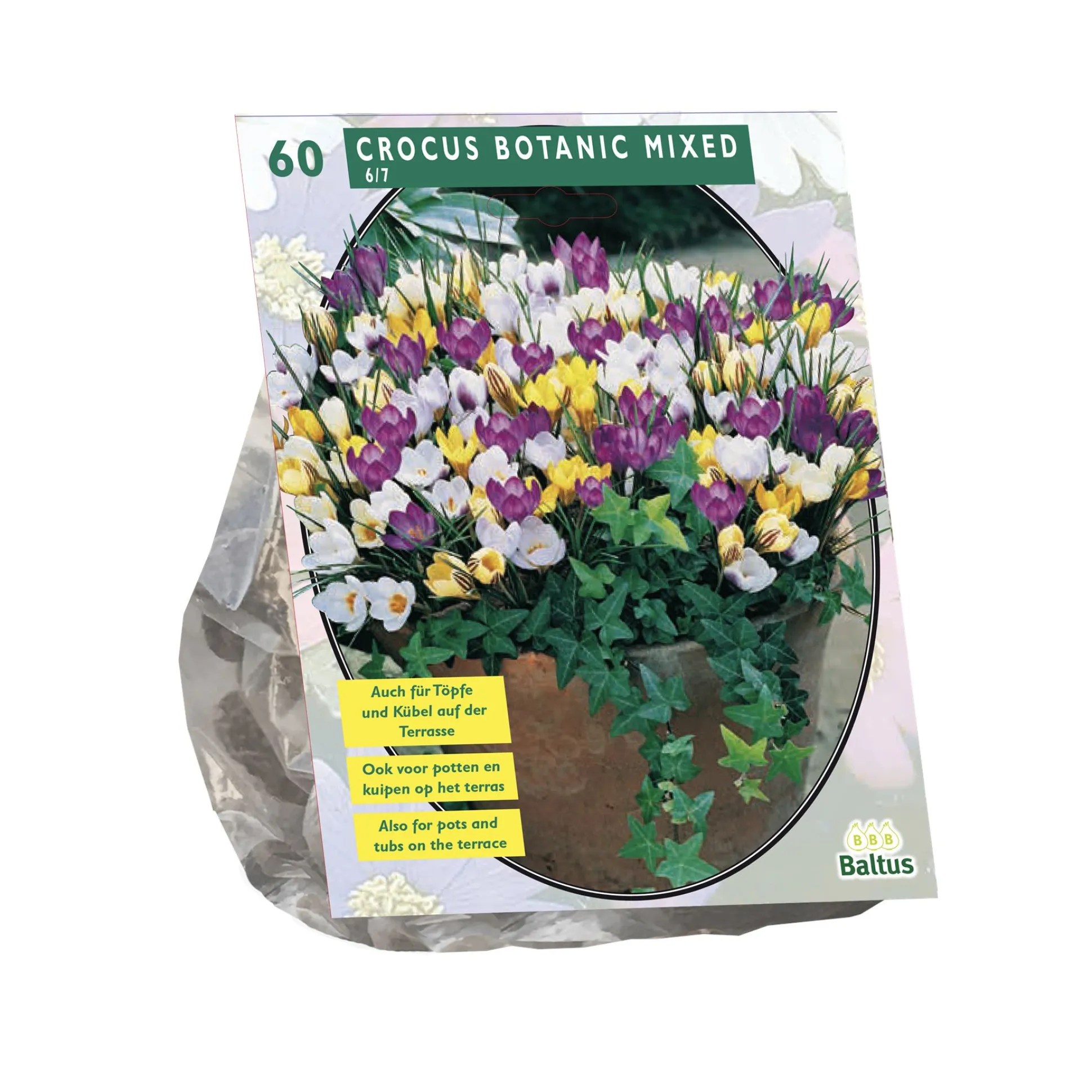 Crocus Botanisch mix per 60