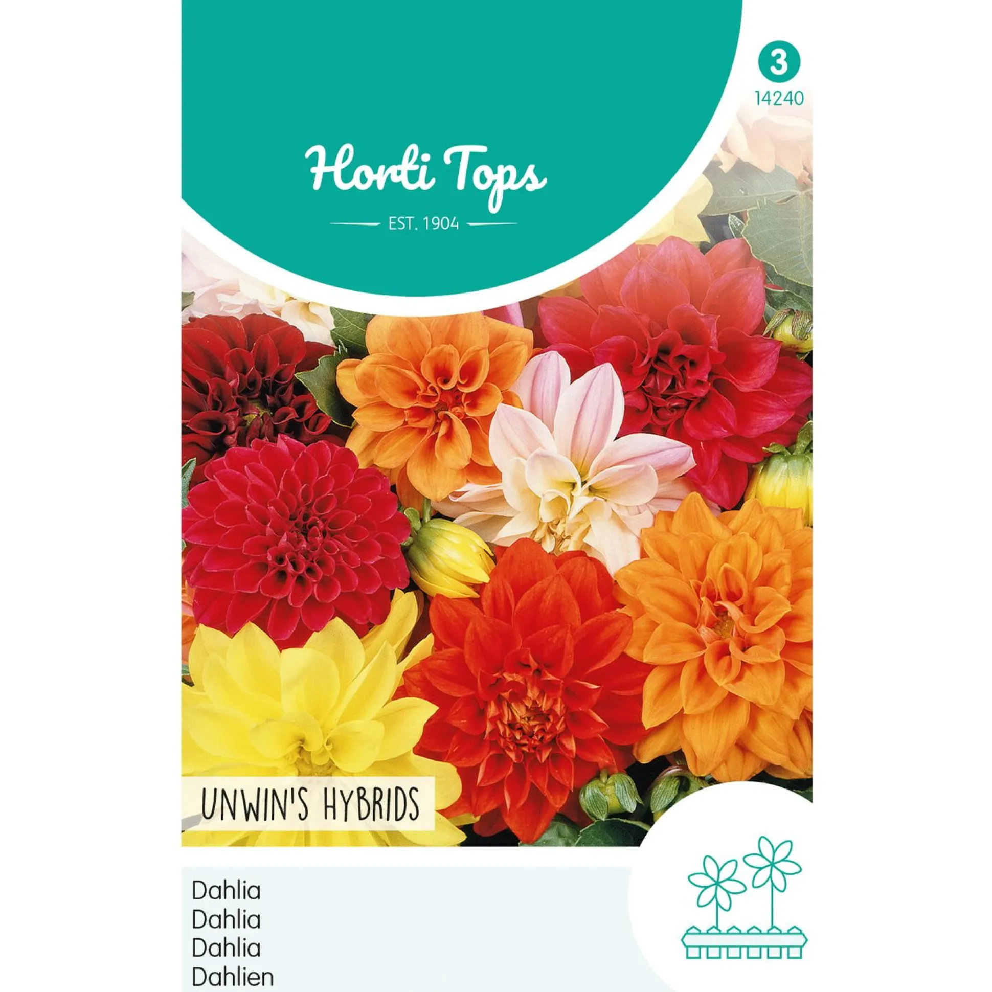 Dahlia Unwin Mix