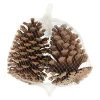 Dennenappel natural 13 x 13 x 8 cm 2st