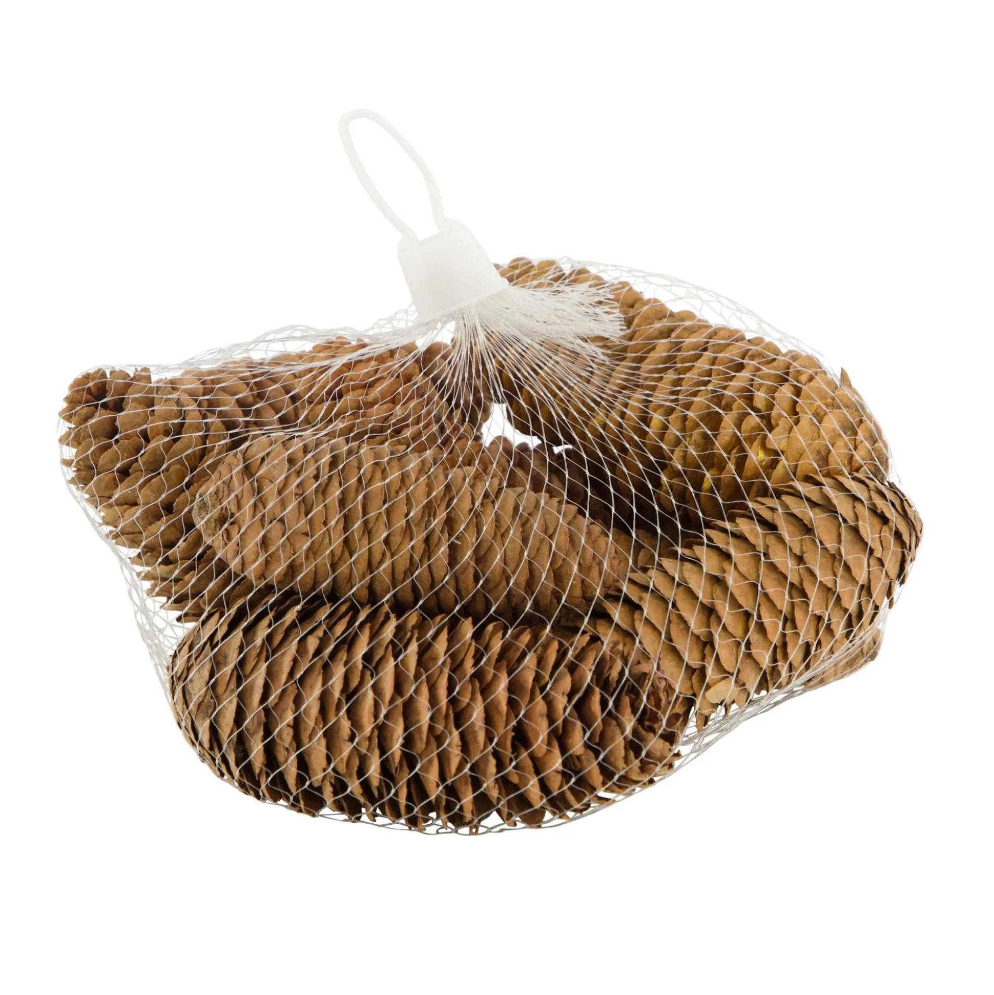 Dennenappel natural 150g