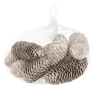 Dennenappel snowy white 150g