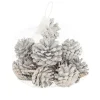 Dennenappel snowy white 200g
