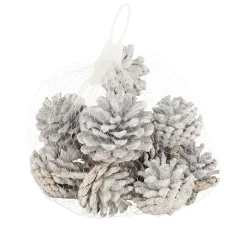 Dennenappel snowy white 200g