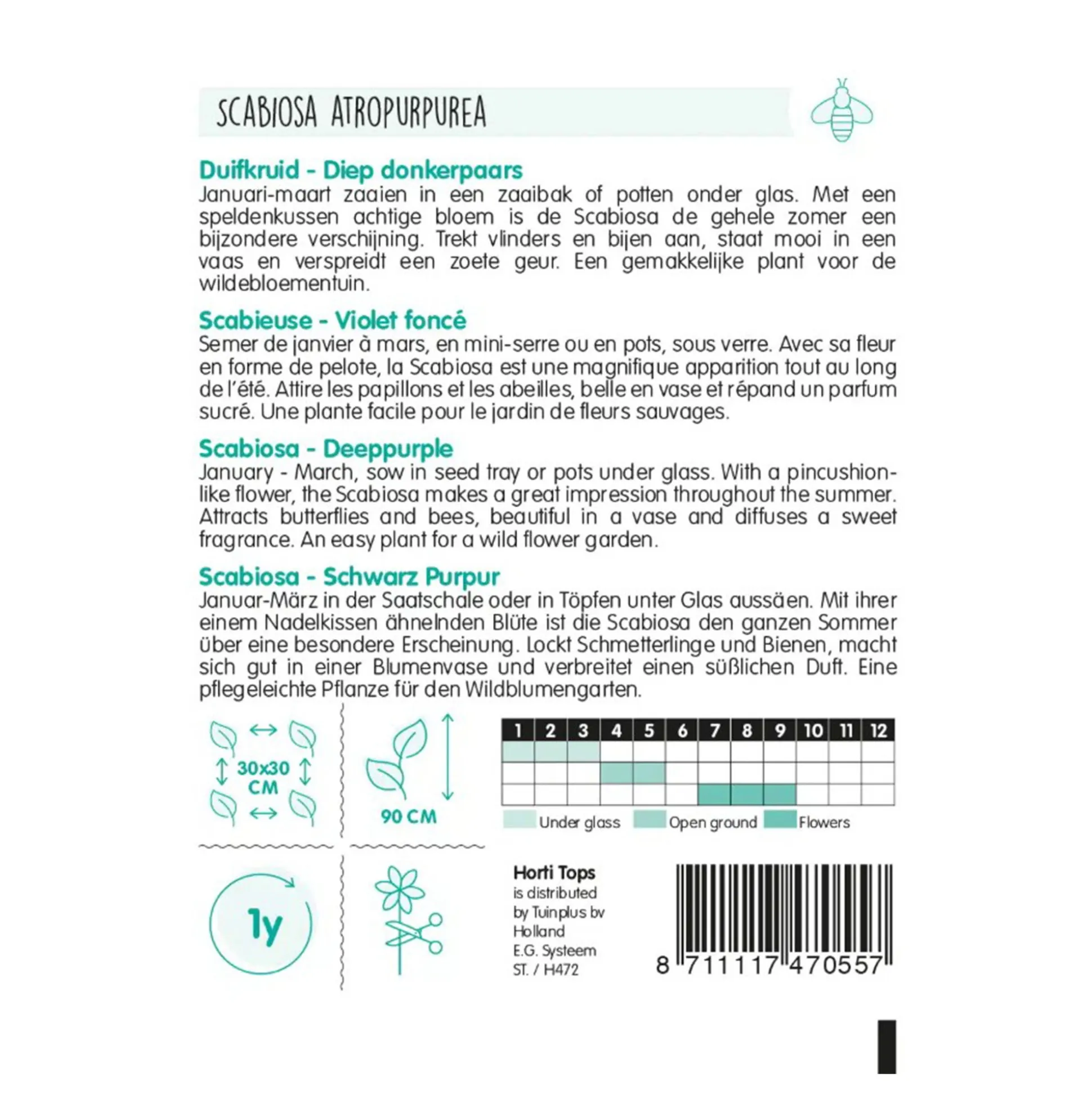 Duifkruid diep donkerpaars