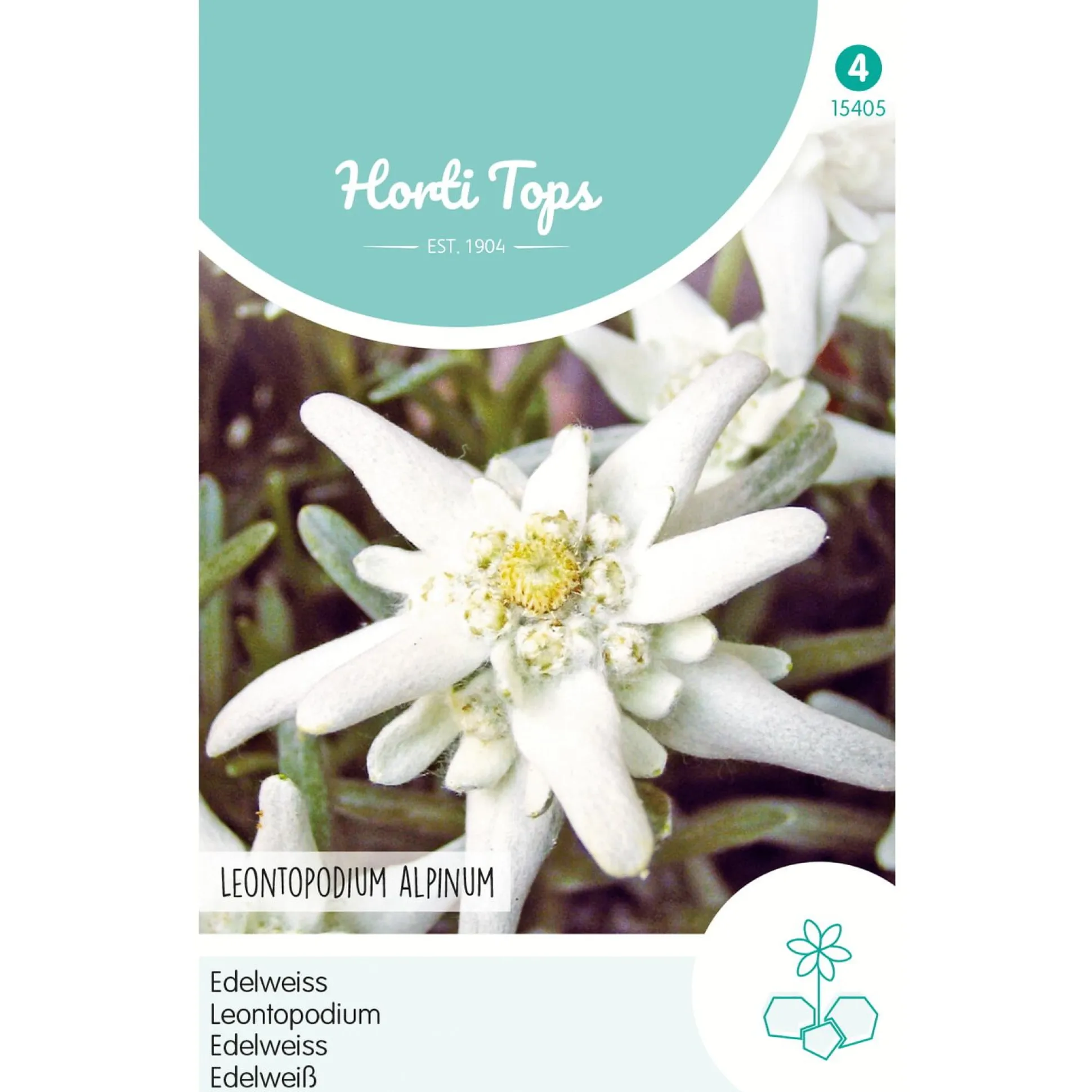 Edelweiss