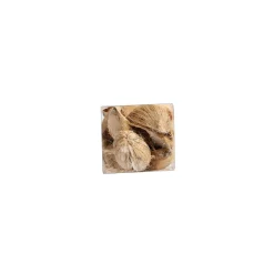 Exotische mix natuur 6 x 6 x 14 cm 6 assorti