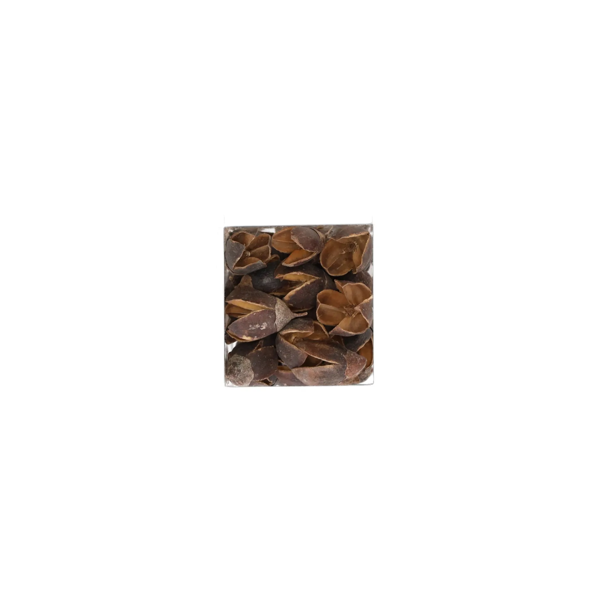 Exotische mix natuur 6 x 6 x 14 cm 6 assorti