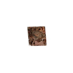 Exotische mix natuur 6 x 6 x 14 cm 6 assorti