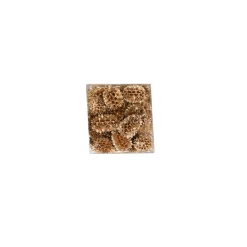 Exotische mix natuur goud 6 x 6 x 14 cm 6 assorti