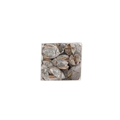 Exotische mix natuur white-wash 6 x 6 x 14 cm 6 assorti