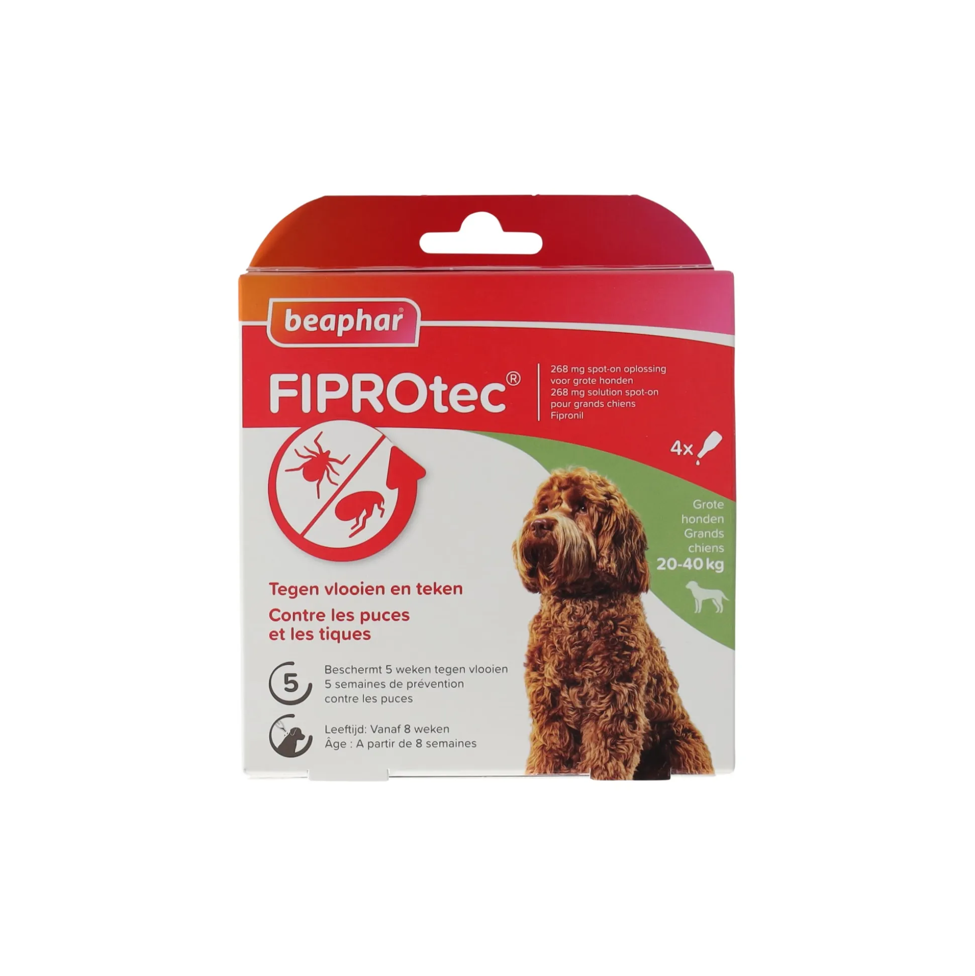 Fiprotec hond 20-40kg Beaphar