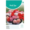 Geranium Magic Beauty F1 mix
