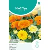 Goudsbloem Fiesta Gitana Mix