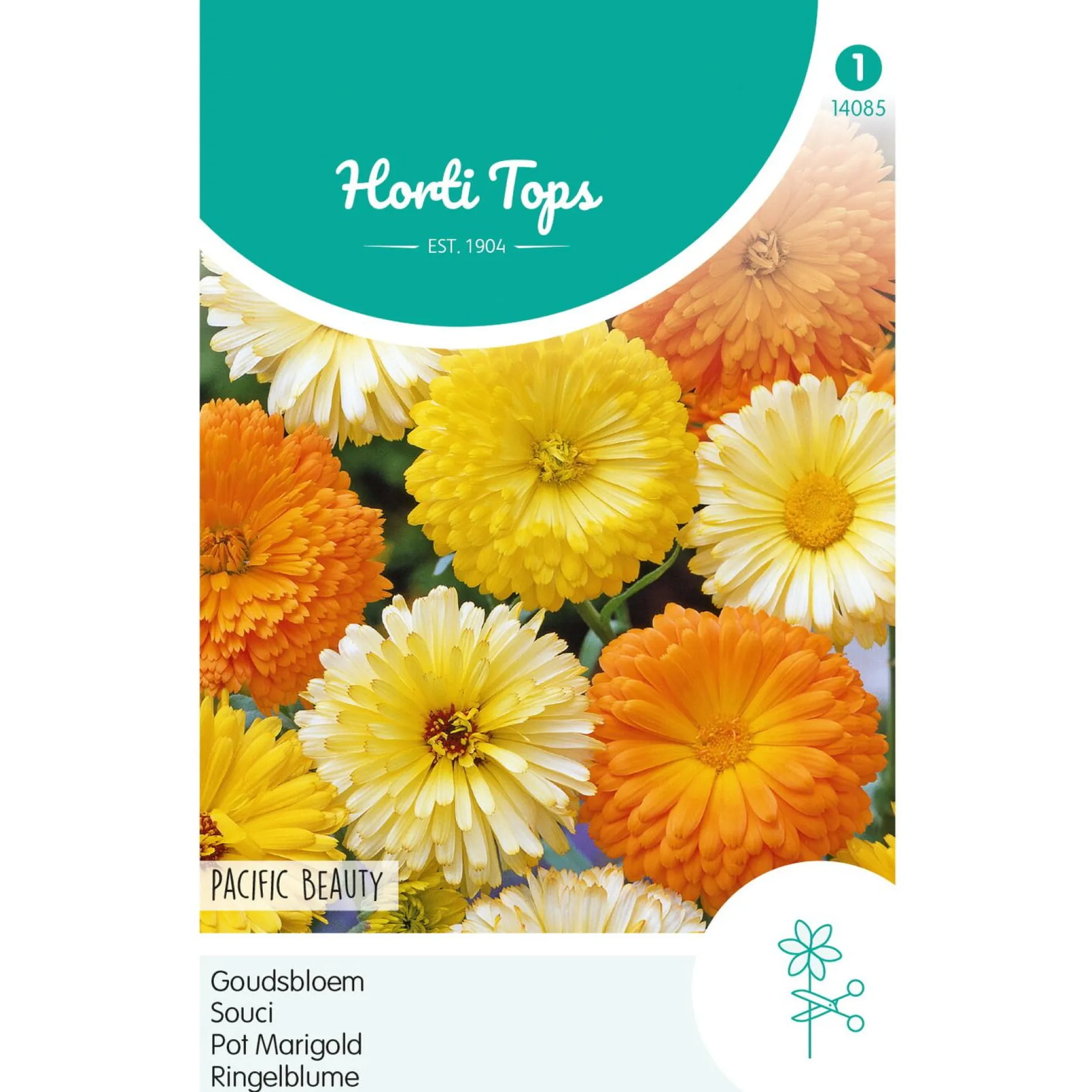 Goudsbloem Pacific Beauty Mix