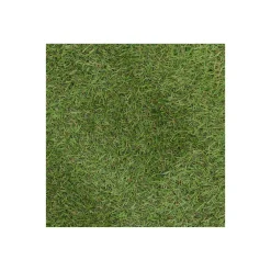 Grastapijt Carrow Road 1x4M