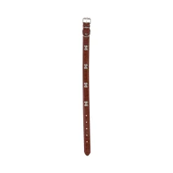 Halsband hond 50cm assorti