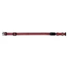Halsband LED Vaalo RD 20mm 40-55cm