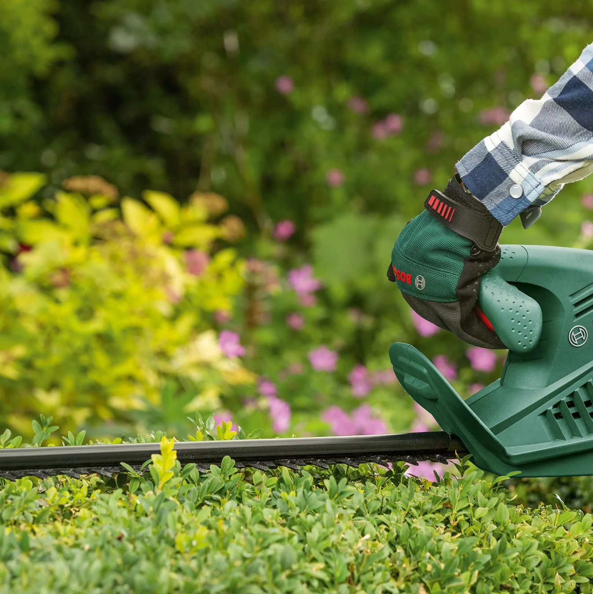 Heggenschaar easyhedgecut 45 bosch