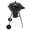 Houtskoolbarbecue Woodhull