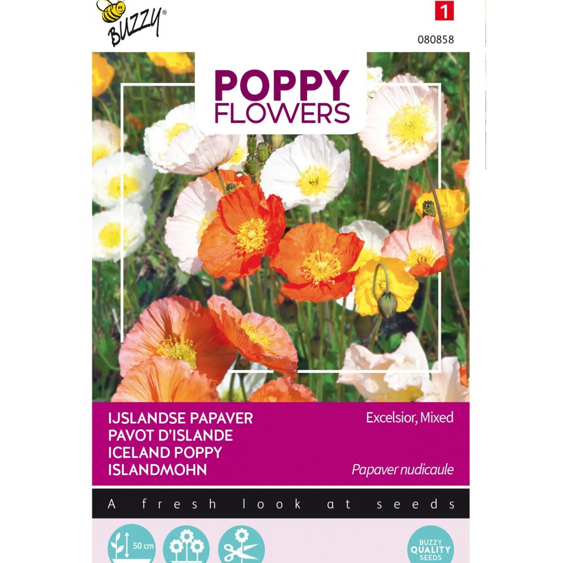 IJslandse Papaver mix