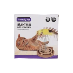 Kattenspeeltje denkspel met veer