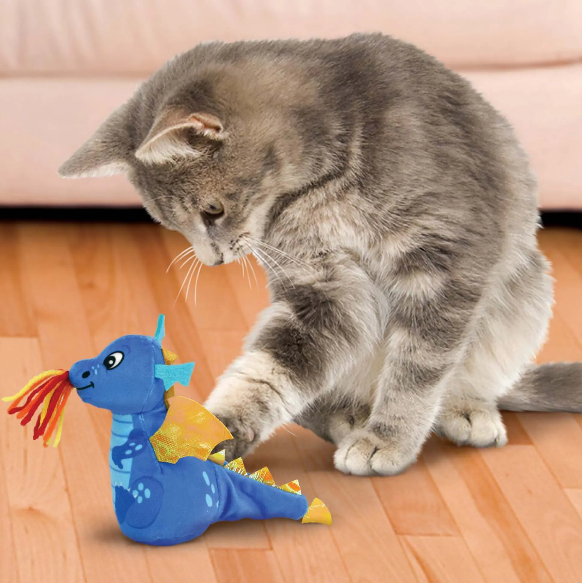 Kattenspeeltje Enchated dragon Kong