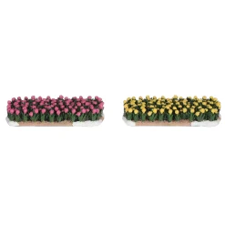 Kerstdorp Tulpen 2st