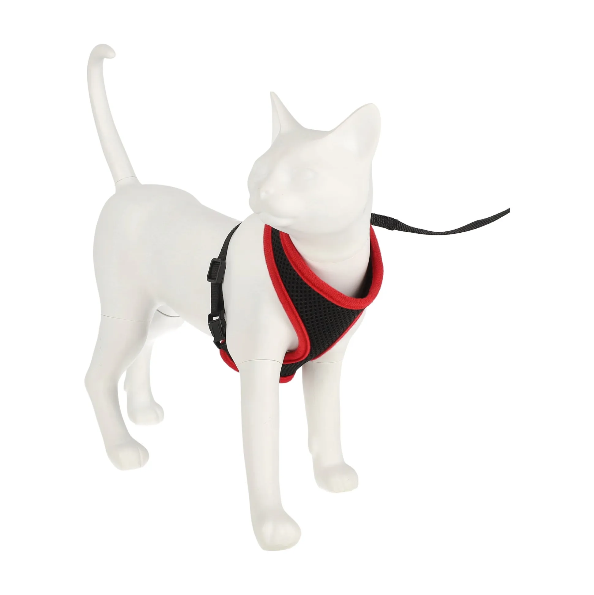 Kittentuig zwart/rood 10mmx110cm