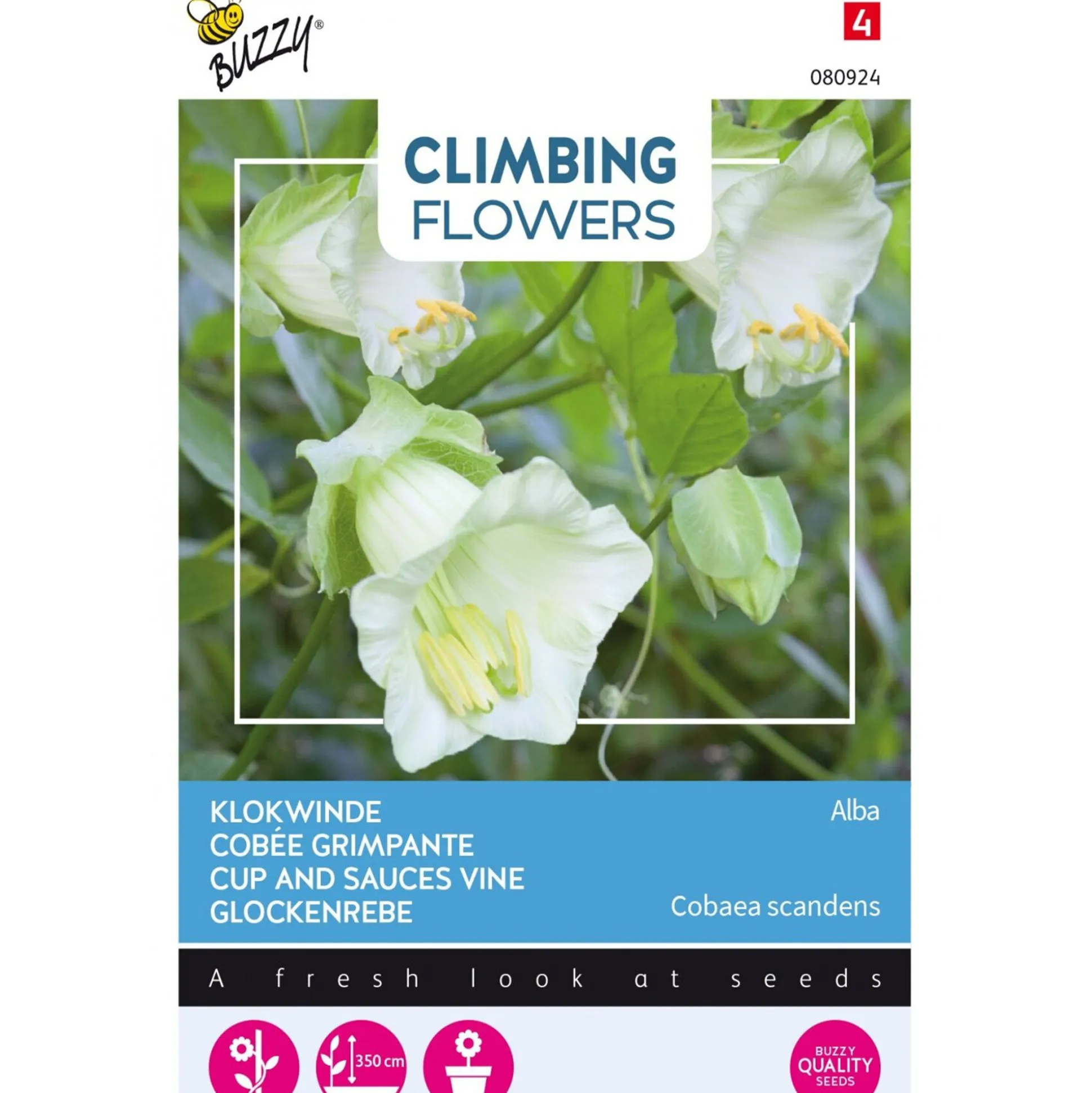 Klokwinde Alba wit