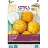 Komkommer Lemon Apple