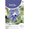 Komkommerkruid borage zaad