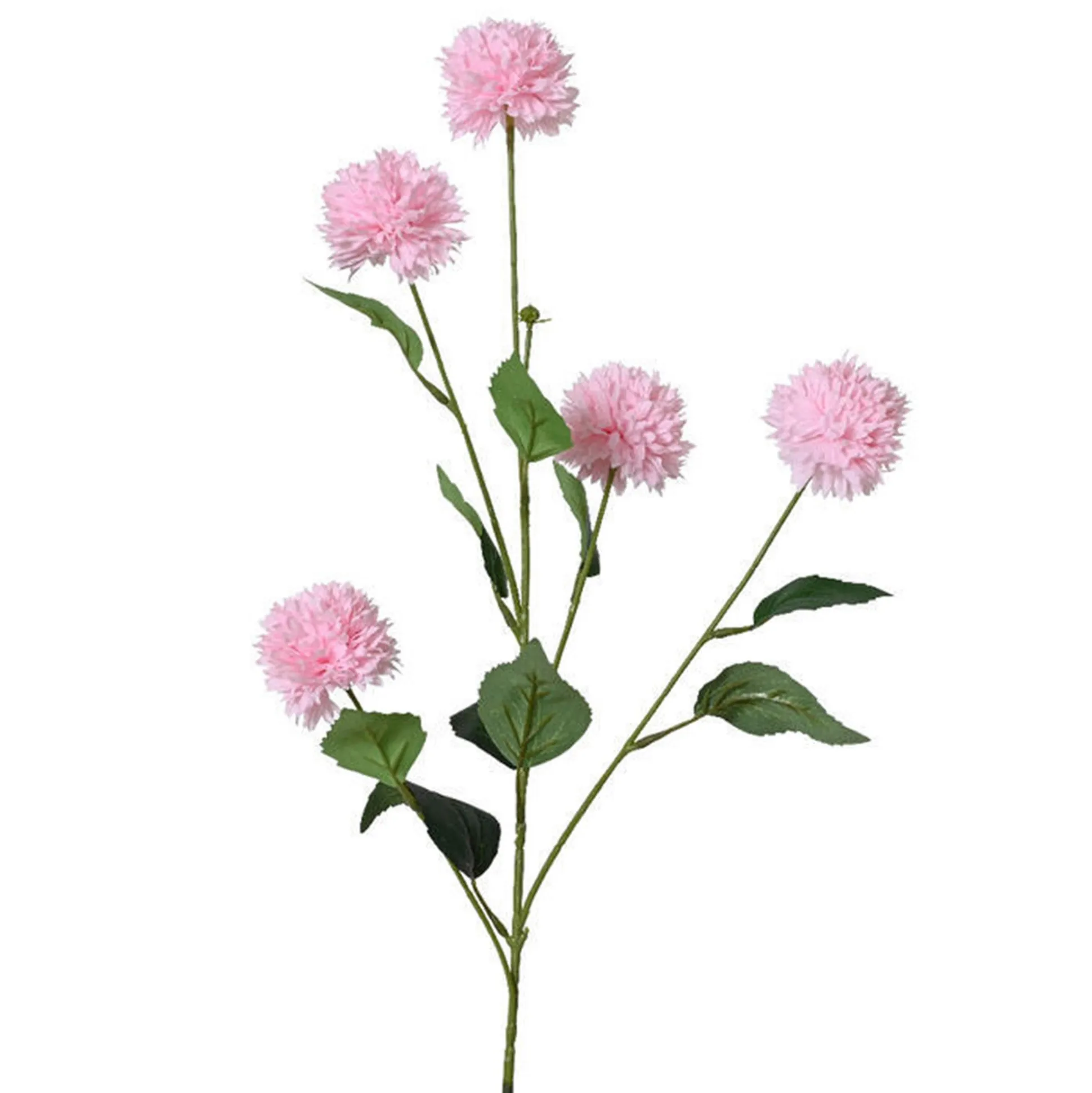 Korenbloem 82 cm roze