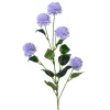 Korenbloem lila 82 cm