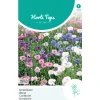 Korenbloem Mix