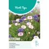Korenbloem Polka Dot Mix