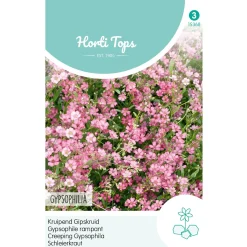 Kruipend Gipskruid roze