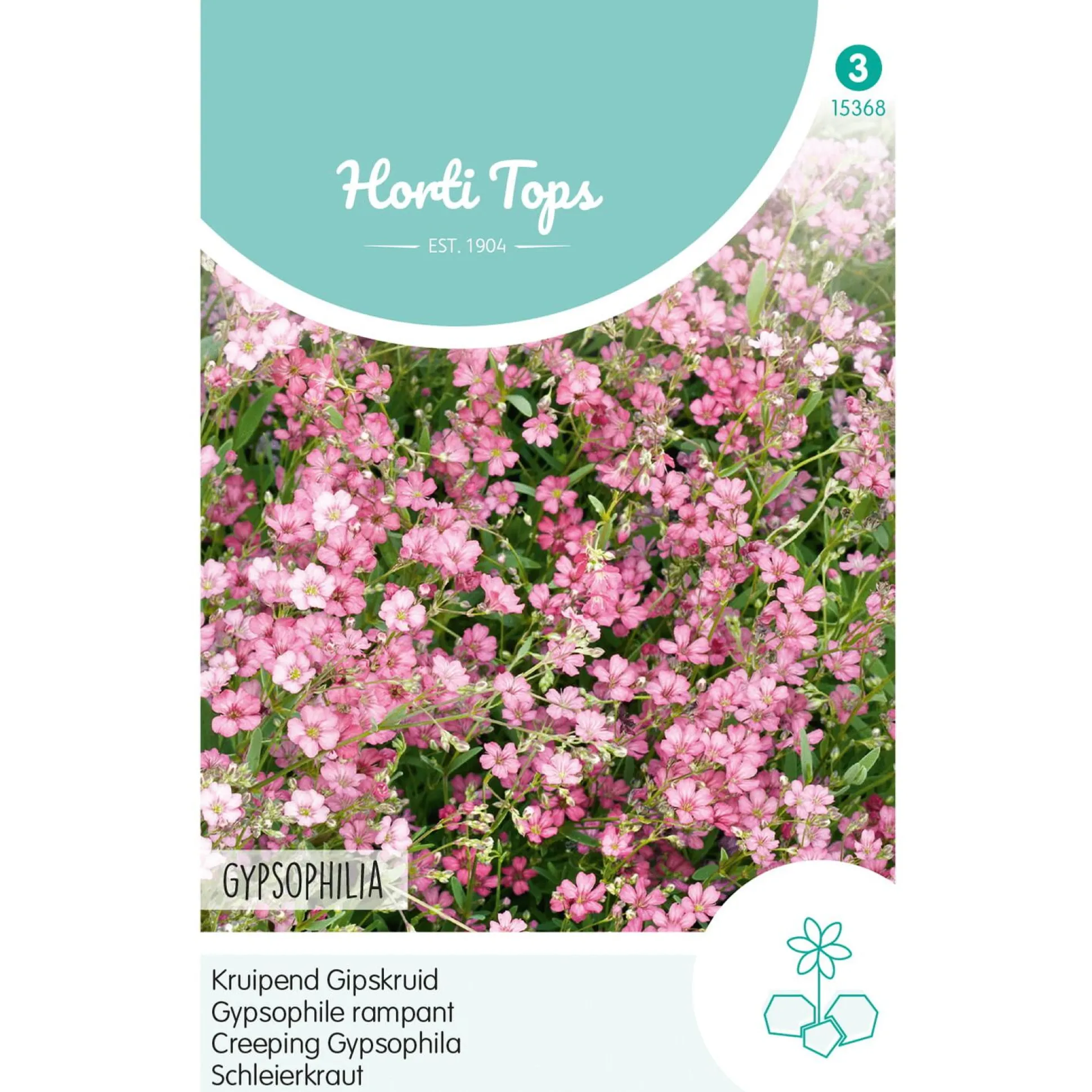 Kruipend Gipskruid roze
