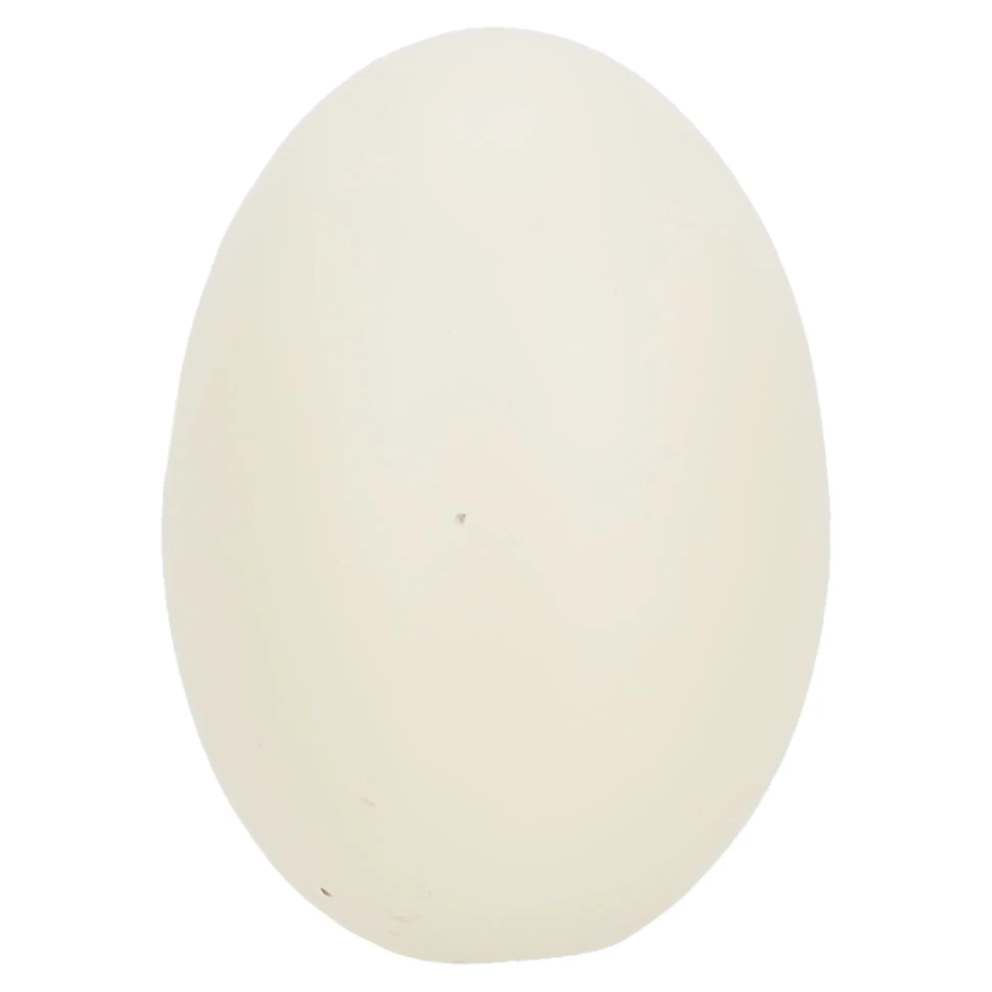 Kunstei terracotta kip Friendly Pet