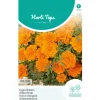 Lage Afrikaan Tangerine