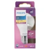 Lamp LED peer mat 40W E27 Philips
