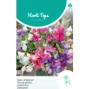 Lathyrus Bijou Mix