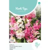 Lathyrus mix